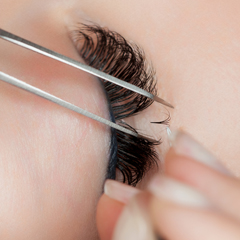 Lash Lifting Online Schulung